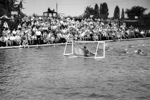 ARH NL Dierssen 1155/0026, Deutsche Wasserballmeisterschaft, Hannover, 1951