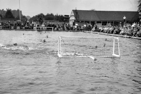 ARH NL Dierssen 1155/0027, Deutsche Wasserballmeisterschaft, Hannover, 1951