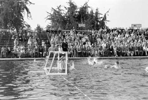 ARH NL Dierssen 1156/0001, Deutsche Wasserballmeisterschaft, Hannover, 1951
