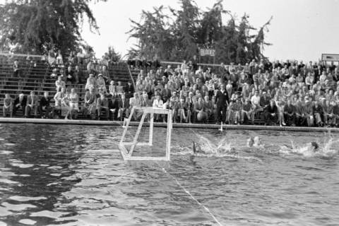 ARH NL Dierssen 1156/0002, Deutsche Wasserballmeisterschaft, Hannover, 1951
