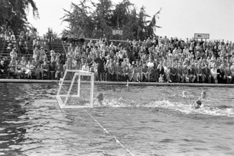 ARH NL Dierssen 1156/0003, Deutsche Wasserballmeisterschaft, Hannover, 1951