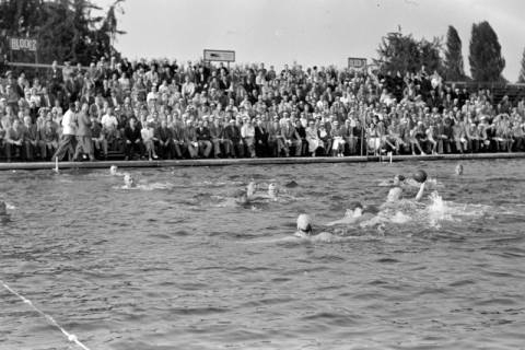 ARH NL Dierssen 1156/0005, Deutsche Wasserballmeisterschaft, Hannover, 1951