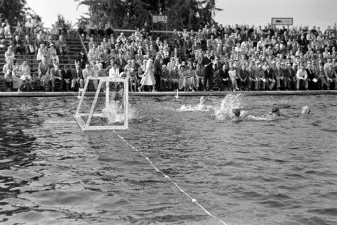 ARH NL Dierssen 1156/0006, Deutsche Wasserballmeisterschaft, Hannover, 1951