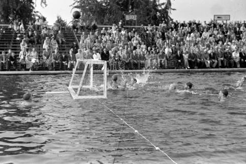 ARH NL Dierssen 1156/0007, Deutsche Wasserballmeisterschaft, Hannover, 1951