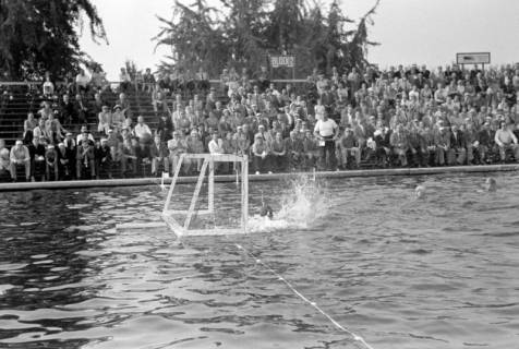 ARH NL Dierssen 1156/0008, Deutsche Wasserballmeisterschaft, Hannover, 1951