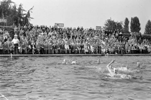 ARH NL Dierssen 1156/0009, Deutsche Wasserballmeisterschaft, Hannover, 1951