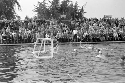 ARH NL Dierssen 1156/0010, Deutsche Wasserballmeisterschaft, Hannover, 1951