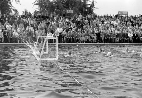 ARH NL Dierssen 1156/0011, Deutsche Wasserballmeisterschaft, Hannover, 1951