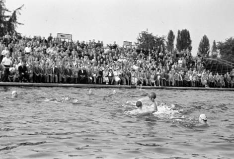 ARH NL Dierssen 1156/0012, Deutsche Wasserballmeisterschaft, Hannover, 1951
