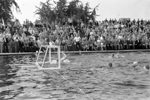 ARH NL Dierssen 1156/0013, Deutsche Wasserballmeisterschaft, Hannover, 1951