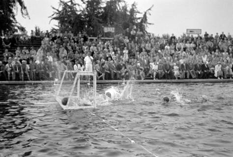 ARH NL Dierssen 1156/0014, Deutsche Wasserballmeisterschaft, Hannover, 1951