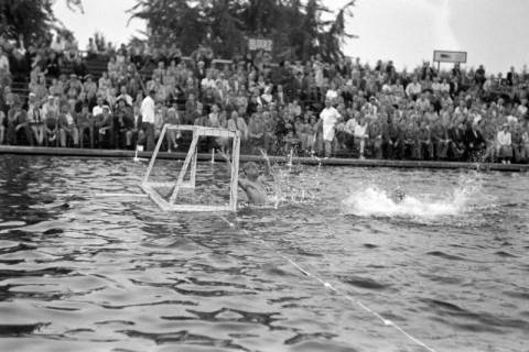 ARH NL Dierssen 1156/0015, Deutsche Wasserballmeisterschaft, Hannover, 1951
