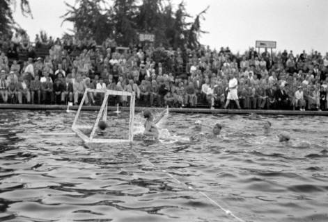 ARH NL Dierssen 1156/0016, Deutsche Wasserballmeisterschaft, Hannover, 1951