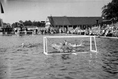 ARH NL Dierssen 1157/0002, Deutsche Wasserballmeisterschaft, Hannover, 1951