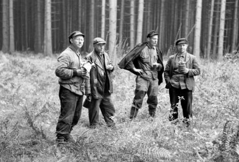 ARH NL Dierssen 1161/0017, Zapfensammler, Westerhof, 1951
