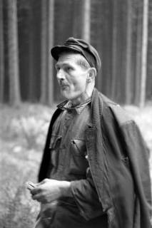 ARH NL Dierssen 1161/0019, Zapfensammler, Westerhof, 1951