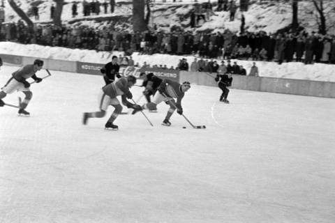 ARH NL Dierssen 1172/0011, Deutsche Jugendmeisterschaft in Eishockey, Clausthal-Zellerfeld, 1952