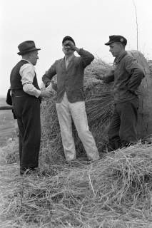 ARH NL Dierssen 1180/0011, Osterfeuerräder, Lügde, 1952