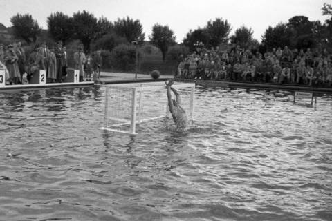 ARH NL Dierssen 1189/0011, Wasserball Deutschland gegen Schweden, Hannover, 1952