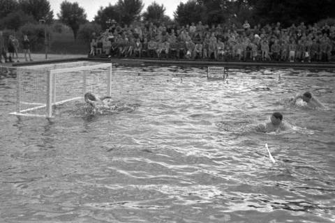 ARH NL Dierssen 1189/0013, Wasserball Deutschland gegen Schweden, Hannover, 1952