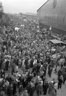 ARH NL Dierssen 1191/0025, Schlesiertreffen, Hannover, 1952