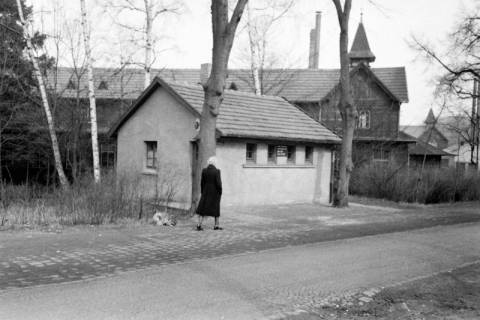 ARH NL Dierssen 1193/0016, Reportage, Bad Oeynhausen, 1952