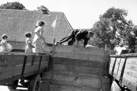 ARH NL Dierssen 1201/0028, "Fuchsjagd" CMC, Schulenburg, 1952