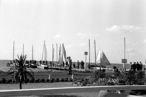 ARH NL Dierssen 1204/0004, Bootssteg am Steinhuder Meer mit Menschen, Steinhude, 1952