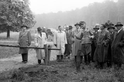 ARH NL Dierssen 1206/0004, Kreistagsmitglieder im Saupark, Springe, 1952