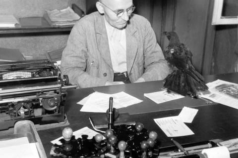 ARH NL Dierssen 1213/0002, Mann am Schreibtisch mit Rabe, Hachmühlen, 1952