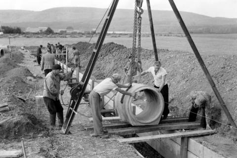 ARH NL Dierssen 1213/0020, Bau der Kanalisation in der Seebohmstraße, Springe, 1952