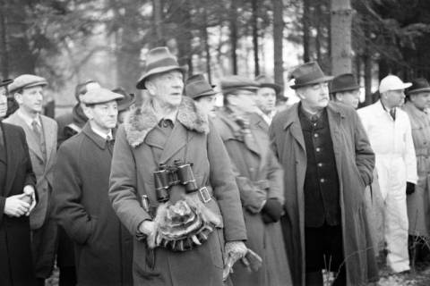ARH NL Dierssen 1216/0003, Diplomaten im Saupark, Springe, 1952