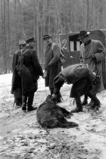 ARH NL Dierssen 1225/0010, "Diplomaten-Jagd", Springe, 1953
