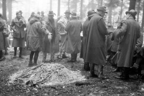 ARH NL Dierssen 1227/0016, "Diplomaten-Jagd", Springe, 1953