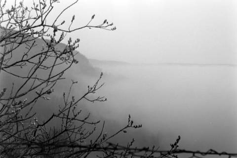 ARH NL Dierssen 1230/0019, Deisterkamm im Nebel, Springe, 1953
