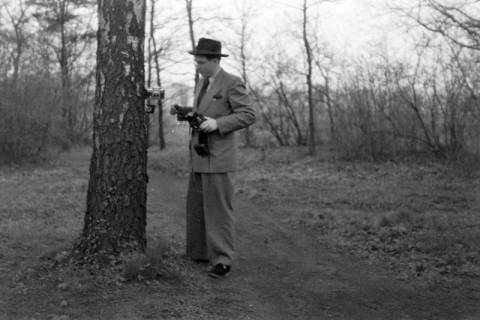 ARH NL Dierssen 1235/0008, An der Kraterquelle, Bad Nenndorf, 1953