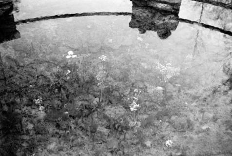 ARH NL Dierssen 1235/0016, An der Kraterquelle, Bad Nenndorf, 1953