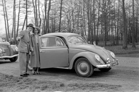 ARH NL Dierssen 1235/0019, An der Kraterquelle?, Bad Nenndorf, 1953