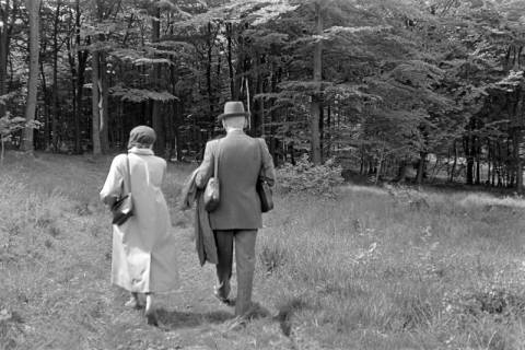 ARH NL Dierssen 1238/0010, Polizei-Ausflug, Bad Nenndorf, 1953