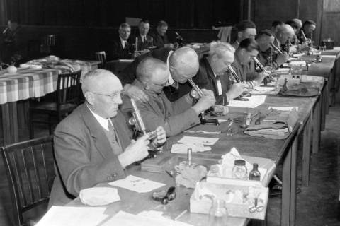 ARH NL Dierssen 1239/0024, Tagung der Trichinenbeschauer, Springe, 1953