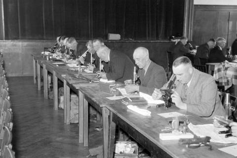 ARH NL Dierssen 1240/0001, Tagung der Trichinenbeschauer, Springe, 1953