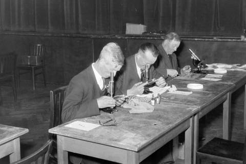 ARH NL Dierssen 1240/0002, Tagung der Trichinenbeschauer, Springe, 1953