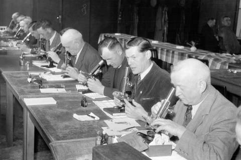 ARH NL Dierssen 1240/0003, Tagung der Trichinenbeschauer, Springe, 1953