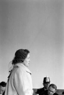 ARH NL Dierssen 1241/0015, Mordprozess gegen Elfriede Tiltmann und Willi Othmer, Hildesheim, 1953