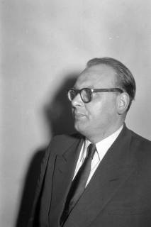 ARH NL Dierssen 1242/0002, Mordprozess gegen Elfriede Tiltmann und Willi Othmer, Hildesheim, 1953