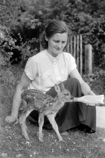 ARH NL Dierssen 1245/0004, Frau säugt Rehkitz mit der Flasche, Elze, 1953