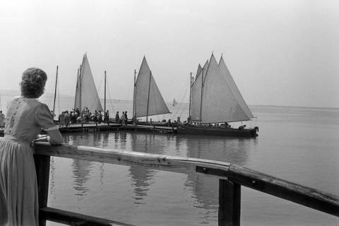 ARH NL Dierssen 1245/0016, Segelboote auf dem Steinhuder Meer am Steg liegend, Steinhude, 1953