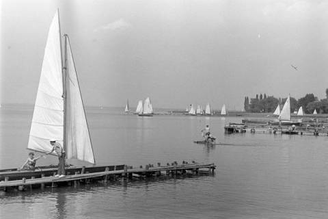 ARH NL Dierssen 1245/0018, Segelboote auf dem Steinhuder Meer, Steinhude, 1953
