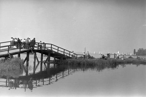 ARH NL Dierssen 1246/0010, Fußgängerbrücke auf der Promenade am Steinhuder Meer, Steinhude, 1953