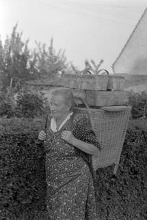 ARH NL Dierssen 1247/0003, Erdbeer-Kiepenfrau, Völksen, 1953